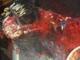 Co-opプレイに対応? 『Ninja Gaiden 3』海外誌の特集記事がリーク - Game*Sparkのキャプチャー画像