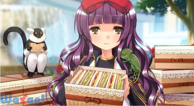 ヴァイスシュヴァルツ ポータブル ブーストヴァイス