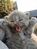 白黒兎熊猫のキャプチャー画像