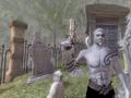 Fable II