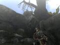 モンスターハンター3(トライ)