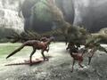モンスターハンター3(トライ)