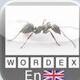 Wordex-English