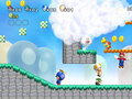 New スーパーマリオブラザーズ Wii
