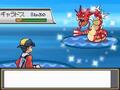 ポケットモンスター ソウルシルバー