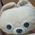 ポメたんさんのプロフィール画像