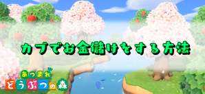 カブ