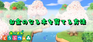 金のなる木