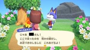 みしらぬネコ