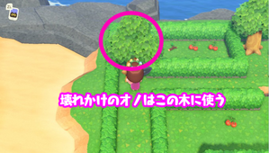 北側の木