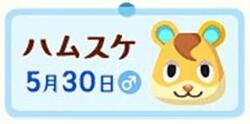 ハムスケ