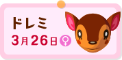 ドレミ