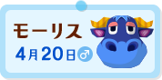 モーリス