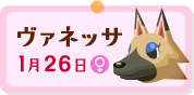 ヴァネッサ