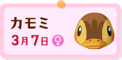 カモミ