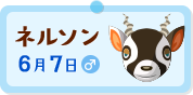 ネルソン