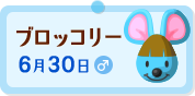 "ブロッコリー"