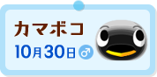 "カマボコ"
