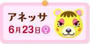 "アネッサ"