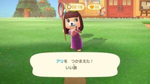 虫のレアリティ