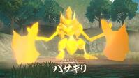 "キング・クイーンポケモン"