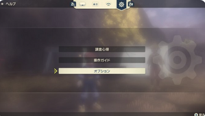 オプション