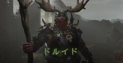 "ドルイド"