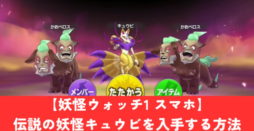 キュウビ入手方法