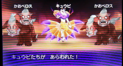 キュウビ強さ