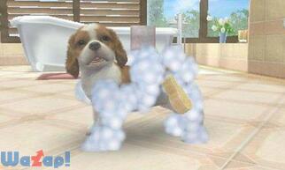 nintendogs + cats �� & New�t�����Y�̉摜