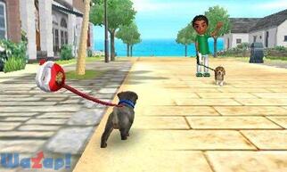 nintendogs + cats �� & New�t�����Y�̉摜