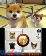 nintendogs + cats �� & New�t�����Y�̉摜