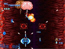 �u���C�W���O���[�U�[�Y�̉摜