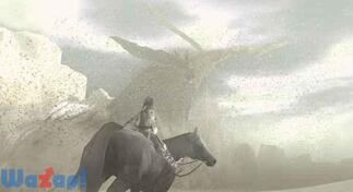 �����_�Ƌ����̉摜