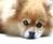 eyewink24̃Lv`[摜