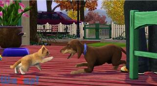 �U�E�V���Y3 �y�b�g�̉摜