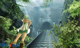 ���r�����X�̔ޕ��̉摜