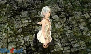 ���r�����X�̔ޕ��̉摜