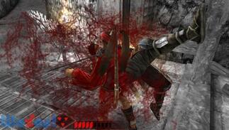 �E��2 �U�؂̉摜