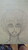 reifuriiãLv`[摜
