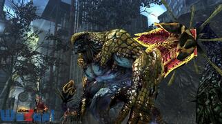 �}�b�N�X �A�i�[�L�[�̉摜