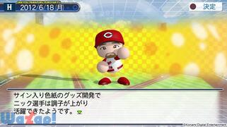 �����p���t���v���싅2012�̉摜