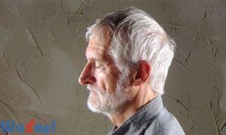 �V�G�S�����̉摜