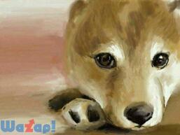 �V�G�S�����̉摜