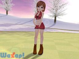 �X�J�b�ƃS���t�p�����̉摜