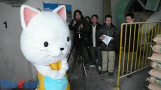 428 -�������ꂽ�a�J��-�̉摜