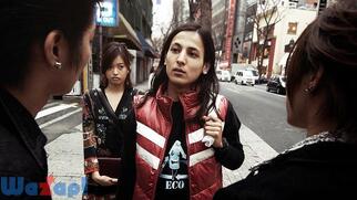 428 -�������ꂽ�a�J��-�̉摜