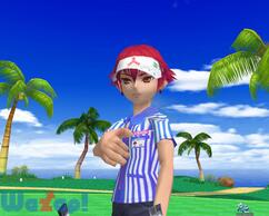 �X�J�b�ƃS���t�p�����̉摜