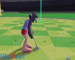 �X�J�b�ƃS���t�p�����̉摜