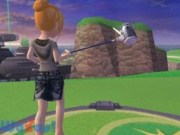 �X�J�b�ƃS���t�p�����̉摜